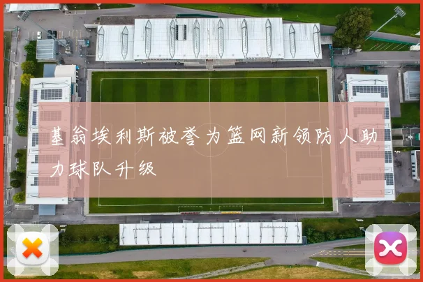 基翁埃利斯被誉为篮网新领防人助力球队升级