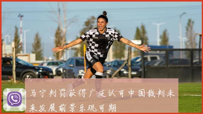 马宁判罚获得广泛认可中国裁判未来发展前景乐观可期